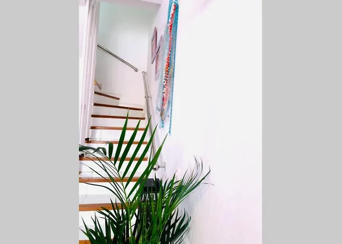 New Caleta,relax, Pool, Terrace, Wifi