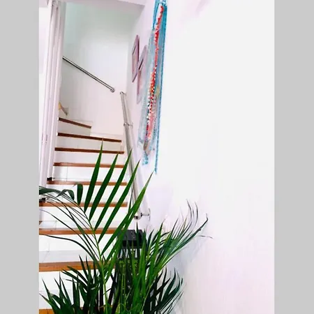 New Caleta,relax, Pool, Terrace, Wifi